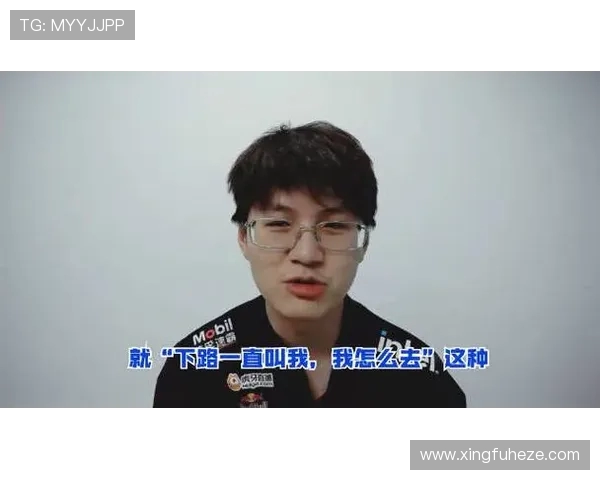 Meiko辅助新玩法解析 强化团队协作与战术配合的关键技巧